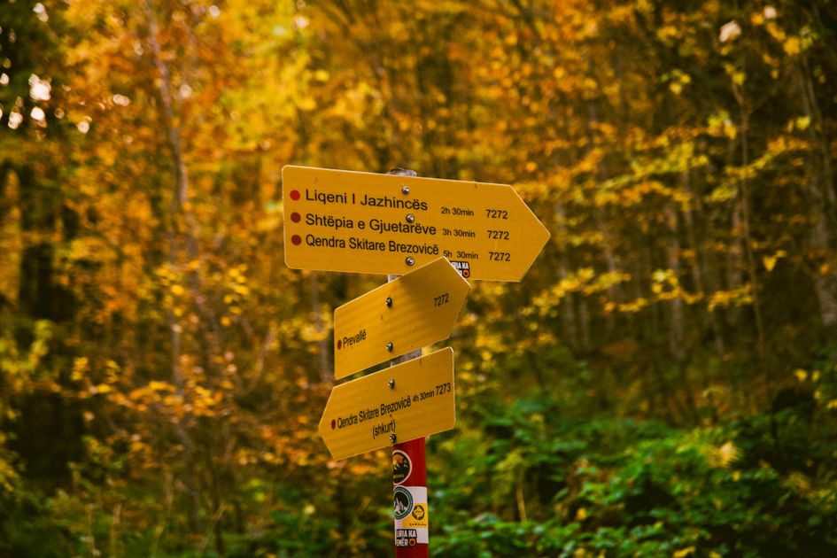 Yellow signposts marking directions in a scenic autumn forest