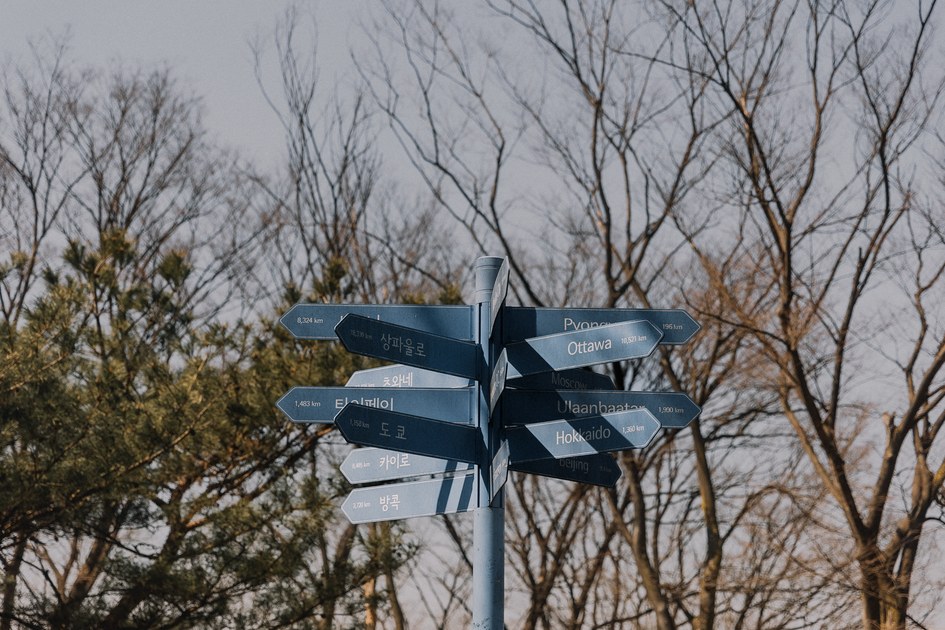A directional signpost stands amidst barren trees in an autumn setting