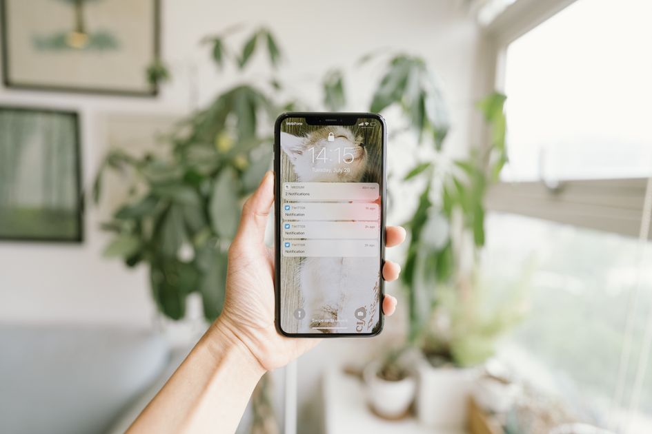 A hand holding a smartphone in a bright room